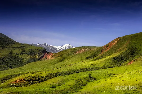 高清摄影 雪山下的绿草地