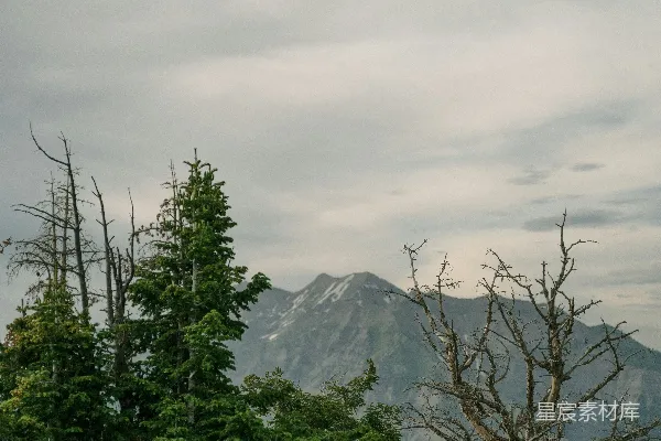 高清摄影 山间雾气中的冬日景色