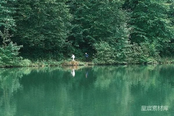 高清摄影 静谧湖畔的绿意盎然