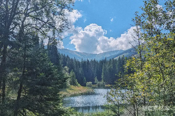 高清摄影 森林中的宁静湖景