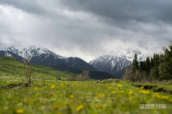 高清摄影 雪山下的草地与云层