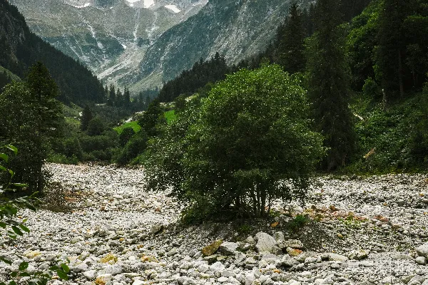 高清摄影 山间石谷