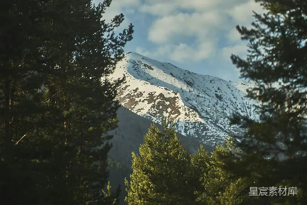 高清摄影 雪山与森林的宁静晨景