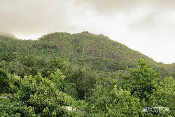 高清摄影 热带雨林中的山景