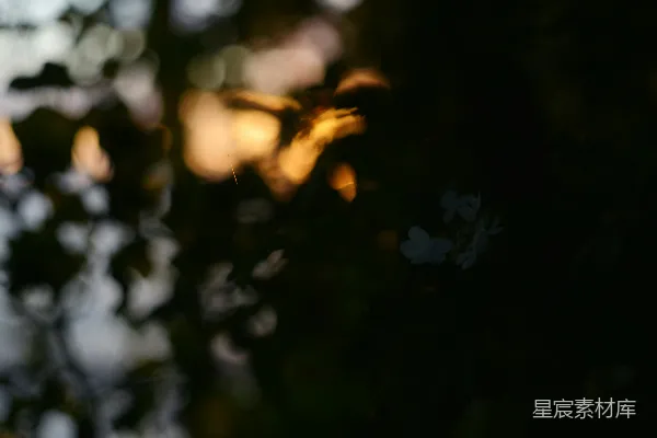 高清摄影 光影交错的自然之美