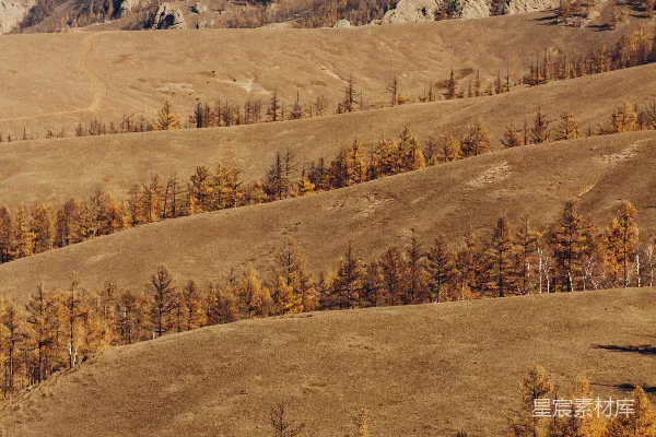高清摄影 秋日山景：金黄与蓝天的交响