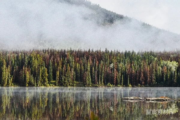 高清摄影 雾中的宁静湖景