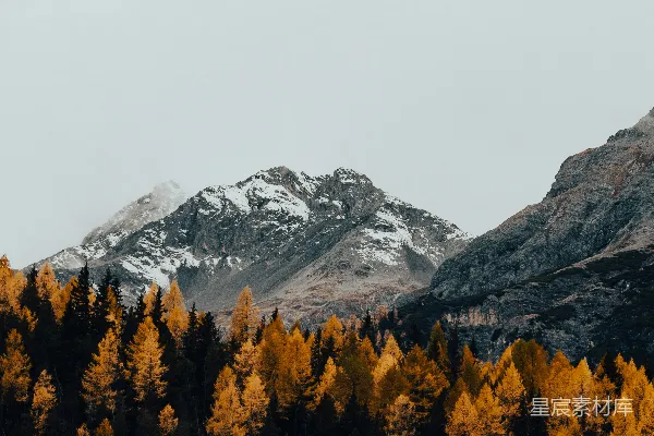 高清摄影 秋日山林