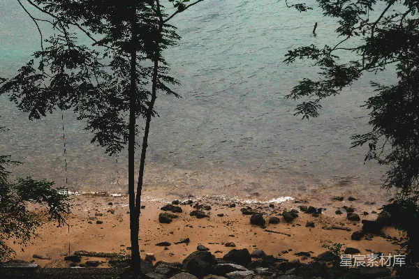 高清摄影 丛林中的静谧海滩