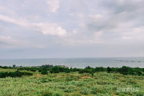 高清摄影 海边的绿色田野与蓝天