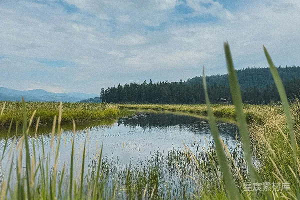 高清摄影 宁静的湖畔草地