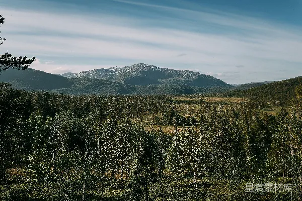 高清摄影 静谧的山林