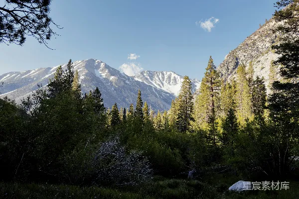 高清摄影 雪山下的森林