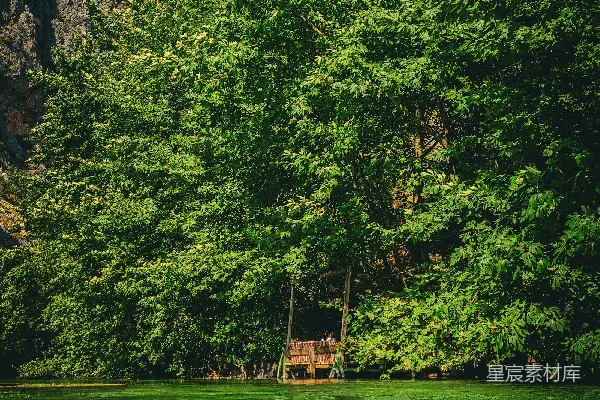 高清摄影 幽静山谷中的自然之景
