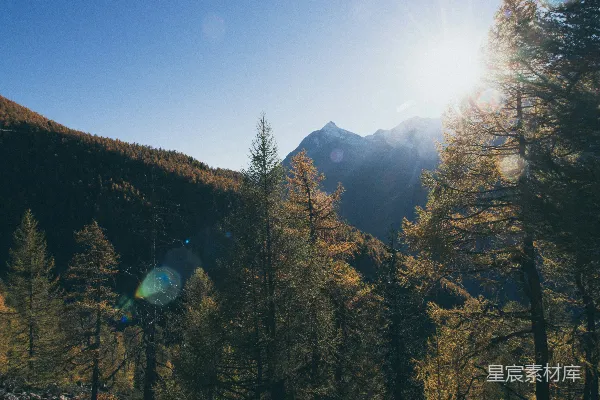 高清摄影 秋日山林晨光