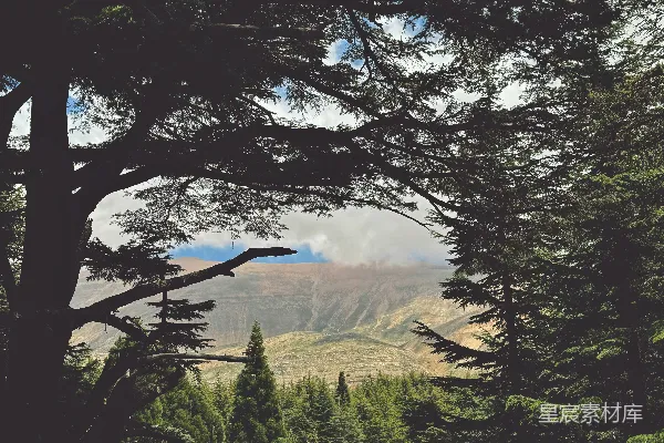 高清摄影 森林中的山景