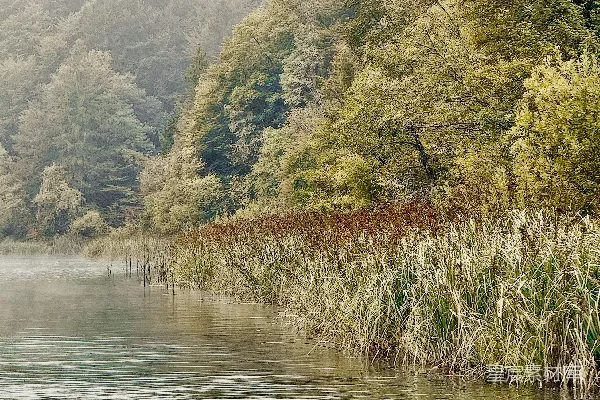 高清摄影 雾中的湖畔