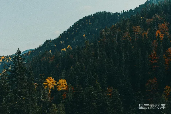 高清摄影 秋日山林