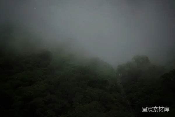 高清摄影 雾中的森林