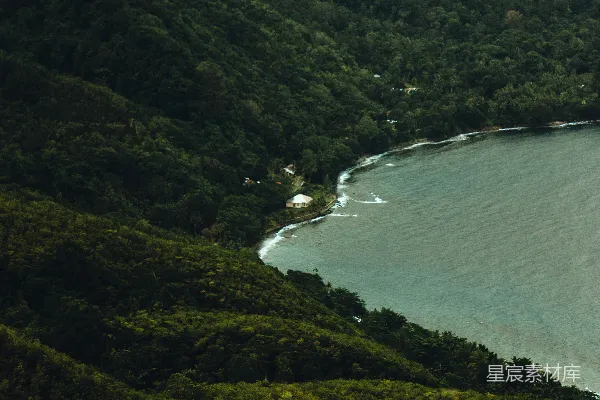 高清摄影 热带雨林中的宁静海湾