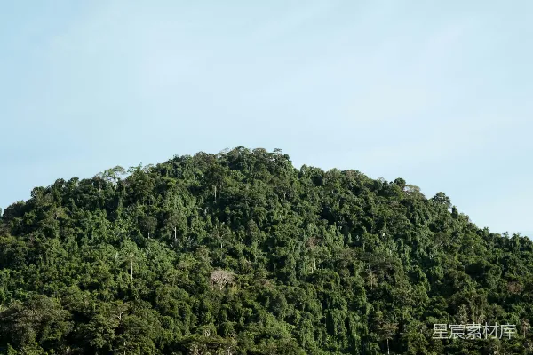 高清摄影 茂密森林的山丘