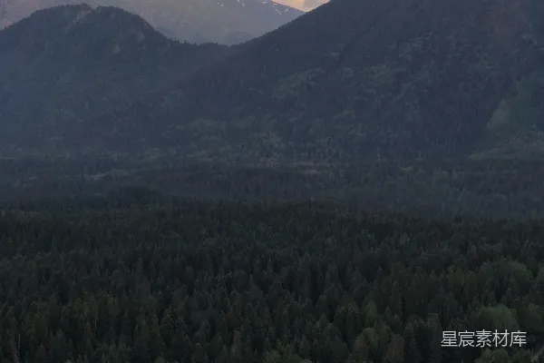 高清摄影 夕阳下的森林与山脉