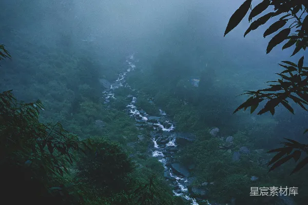 高清摄影 雾中溪流