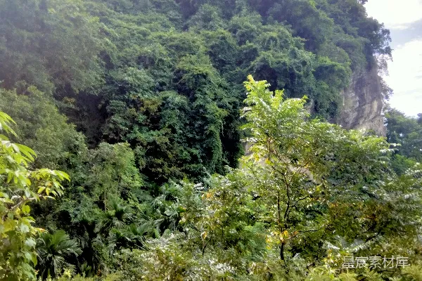 高清摄影 翠绿山林景色