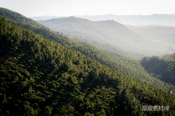 高清摄影 山间森林全景