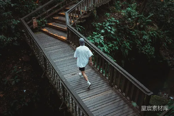 高清摄影 森林中的木桥徒步