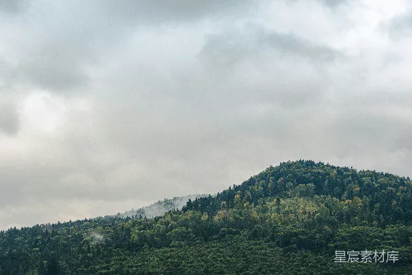 高清摄影 云雾缭绕的森林山丘