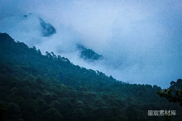 高清摄影 山林云雾