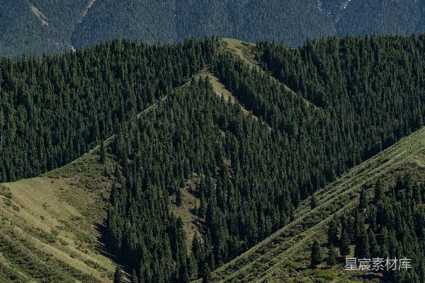 高清摄影 雪山下的森林