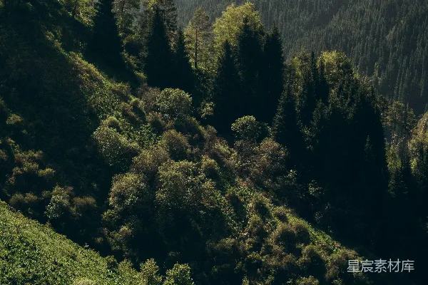 高清摄影 山间小径