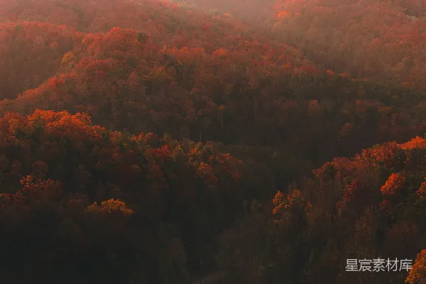 高清摄影 秋日山间小道
