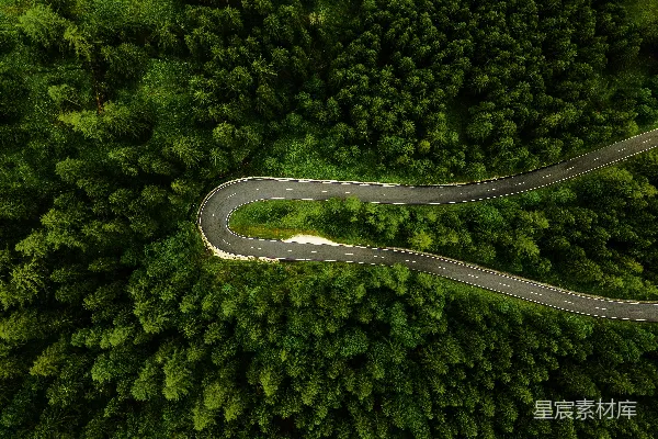 高清摄影 蜿蜒森林中的道路