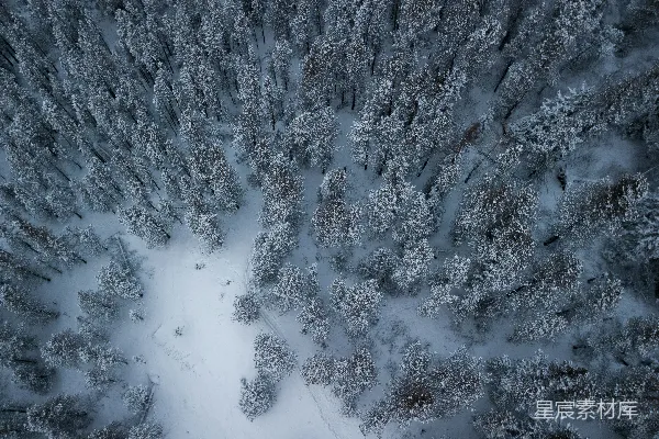 高清摄影 雪后的森林航拍