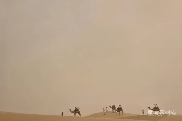 高清摄影 沙漠中的驼队