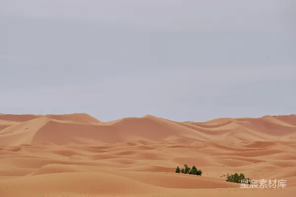 高清摄影 沙漠的宁静
