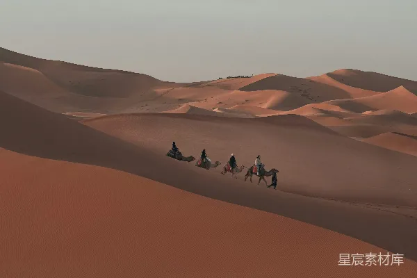 高清摄影 沙漠驼队