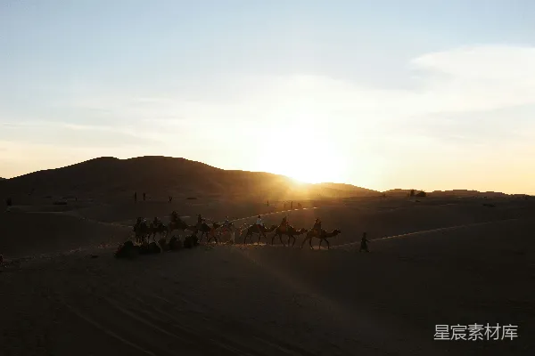 高清摄影 夕阳下的沙漠驼队