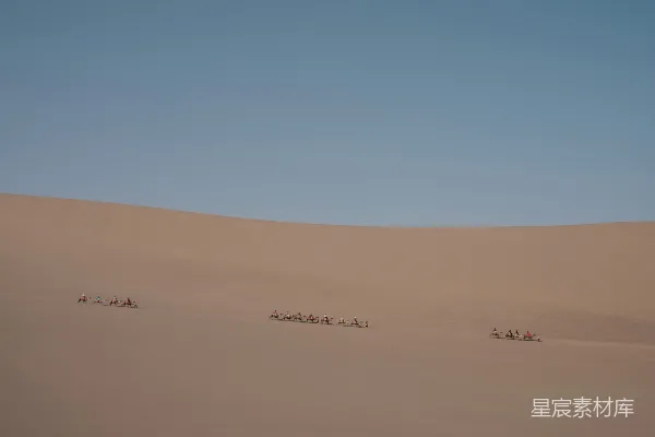 高清摄影 沙漠驼队