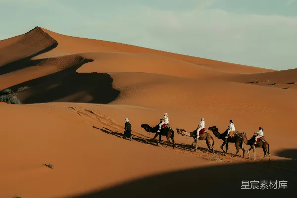 高清摄影 沙漠驼队