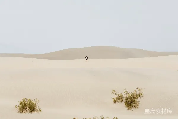 高清摄影 沙漠中的孤独旅者
