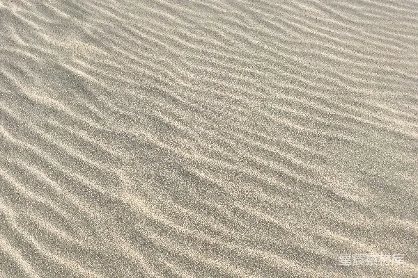 高清摄影 沙丘纹理