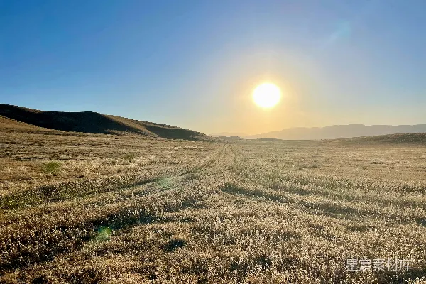 高清摄影 夕阳下的草原
