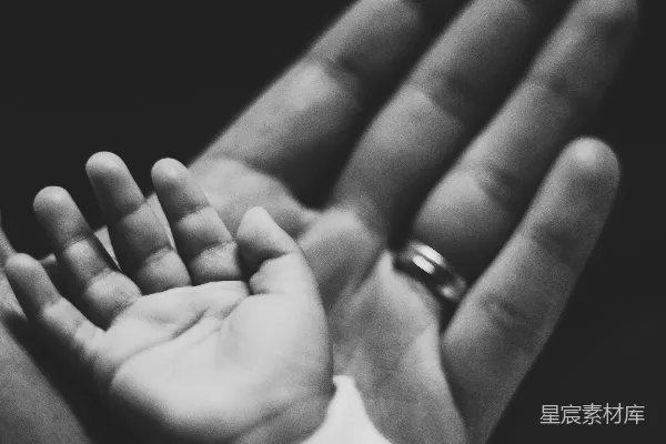 高清摄影 成人手掌上婴儿掌的灰度摄影