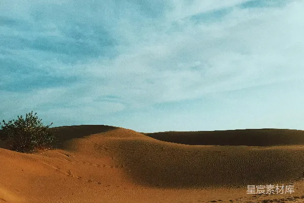 高清摄影 沙漠中的绿洲