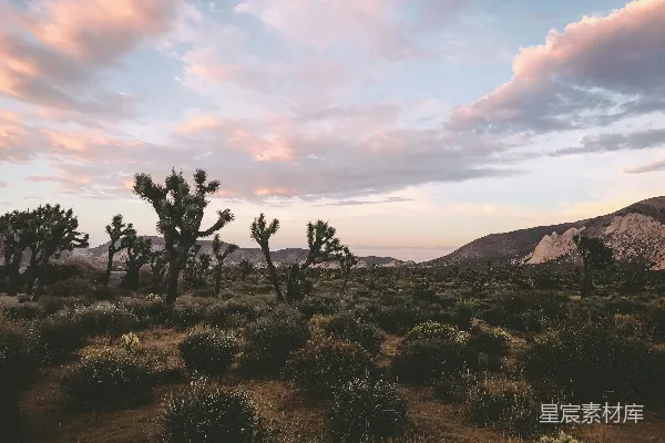 高清摄影 沙漠日落的静谧美景