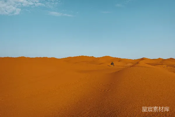 高清摄影 沙漠中的孤树